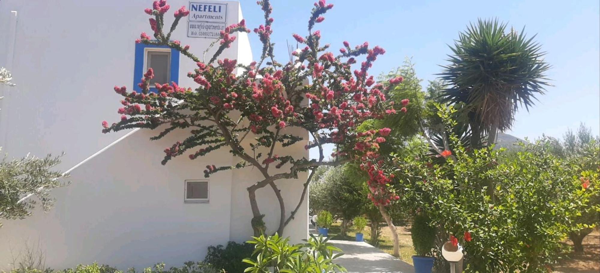 Nefeli Apartments Kéfalos Dış mekan fotoğraf
