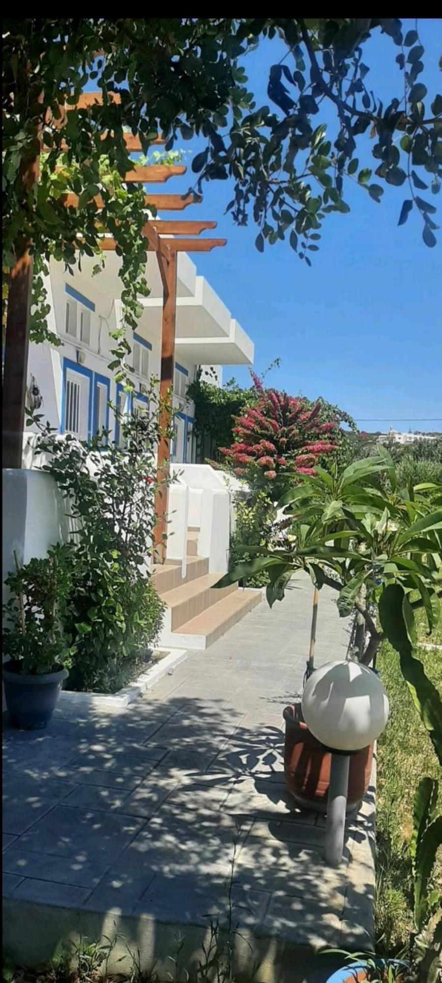 Nefeli Apartments Kéfalos Dış mekan fotoğraf